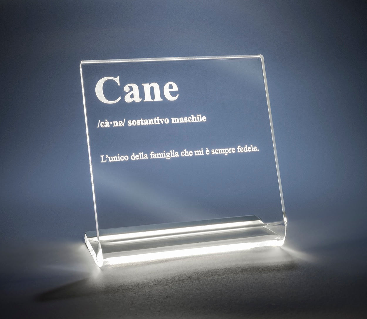 LUCILIO  LAMPADA  CANE