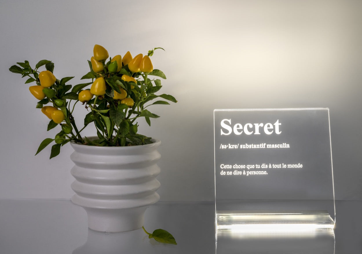 LUCILIO  LAMPADA  "SECRET"