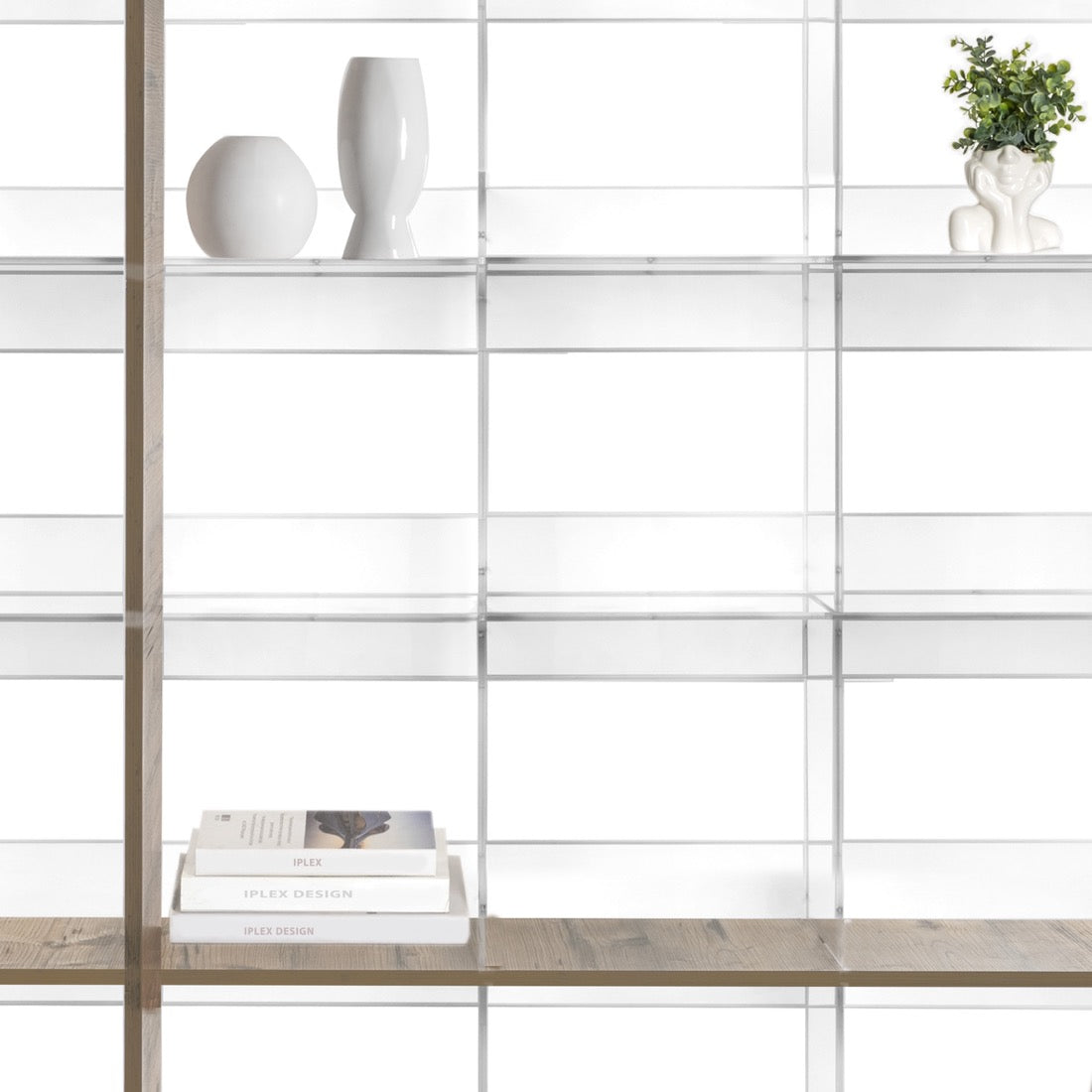 CIELO  LIBRERIA  ROVERE