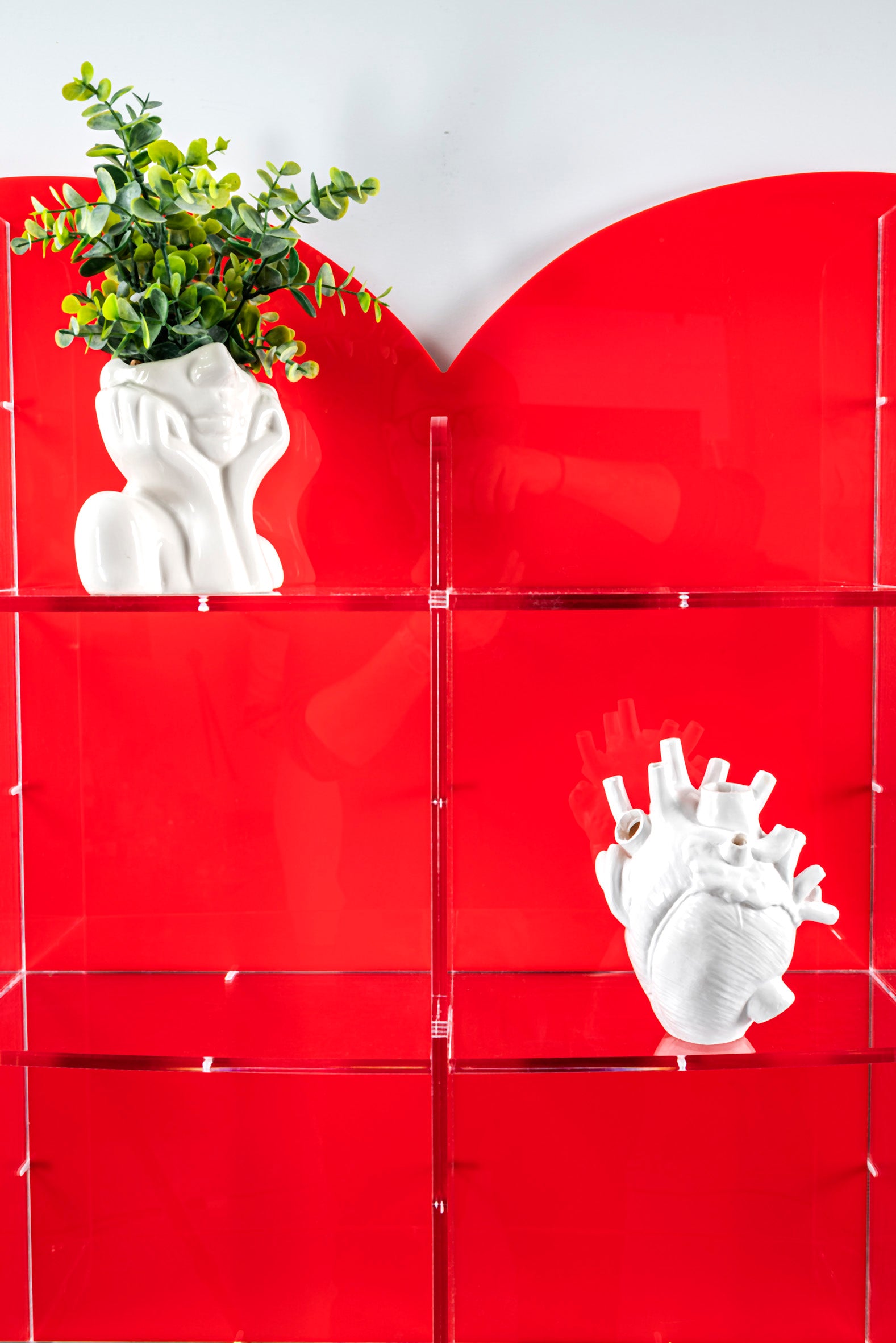 LOVIA LIBRERIA RED