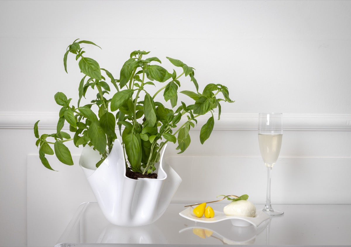 DRAPPEGGI VASO SLIM BIANCO
