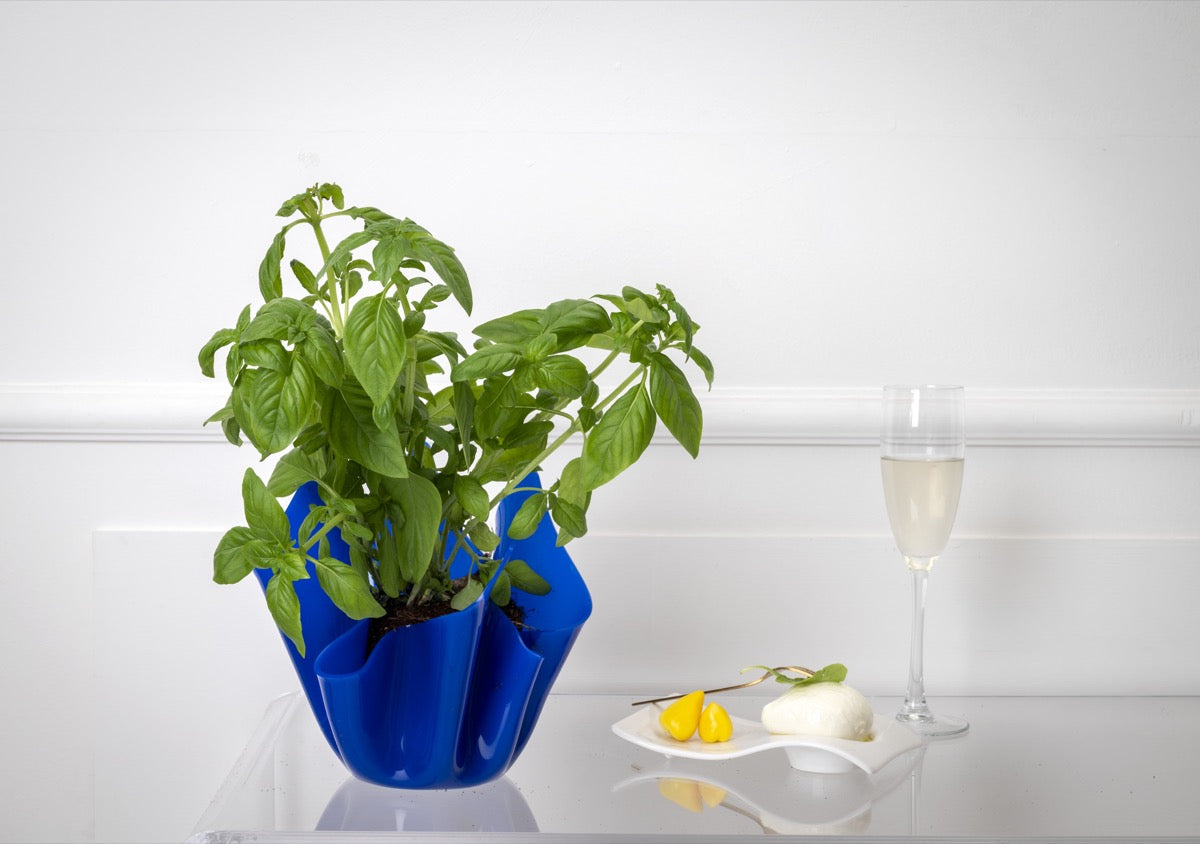 DRAPPEGGI VASO SLIM BLU
