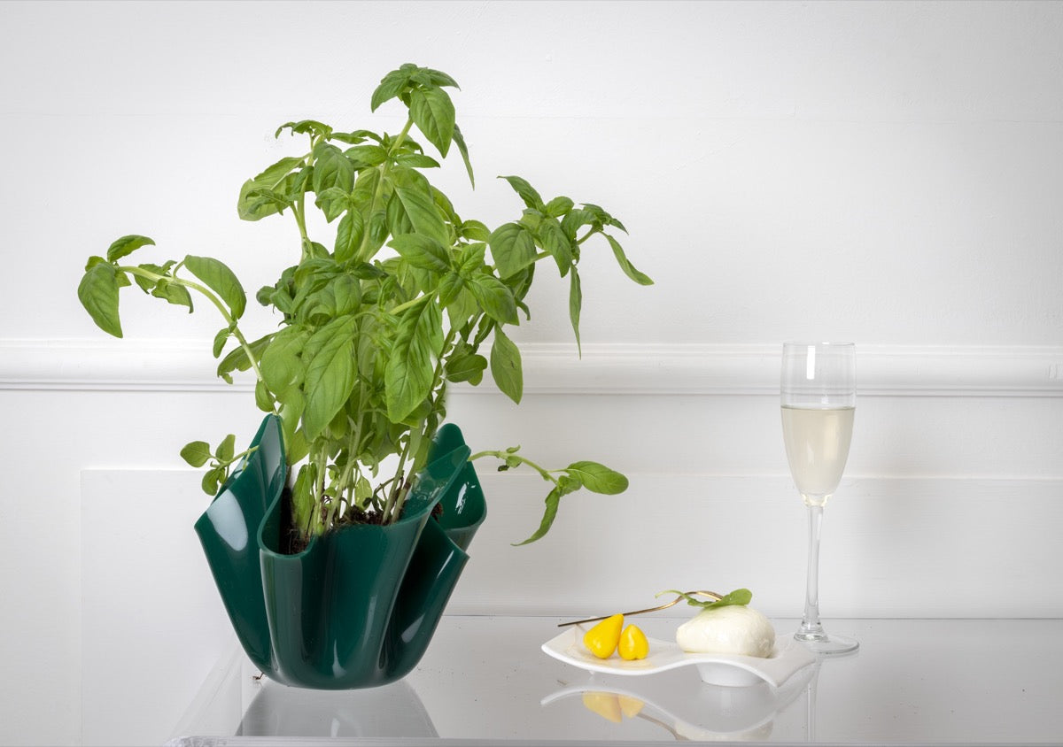 DRAPPEGGI VASO SLIM VERDE SCURO