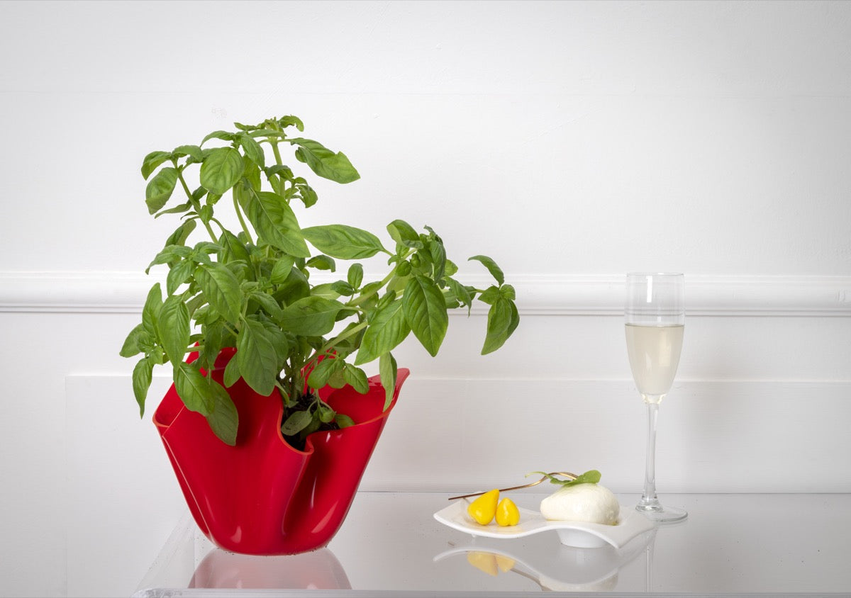 DRAPPEGGI VASO SLIM ROSSO