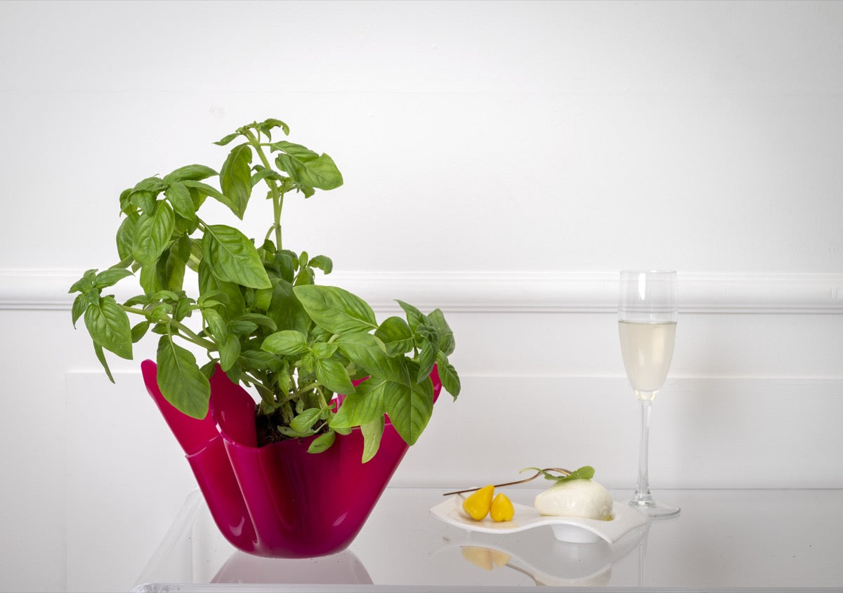 DRAPPEGGI VASO SLIM FUXIA