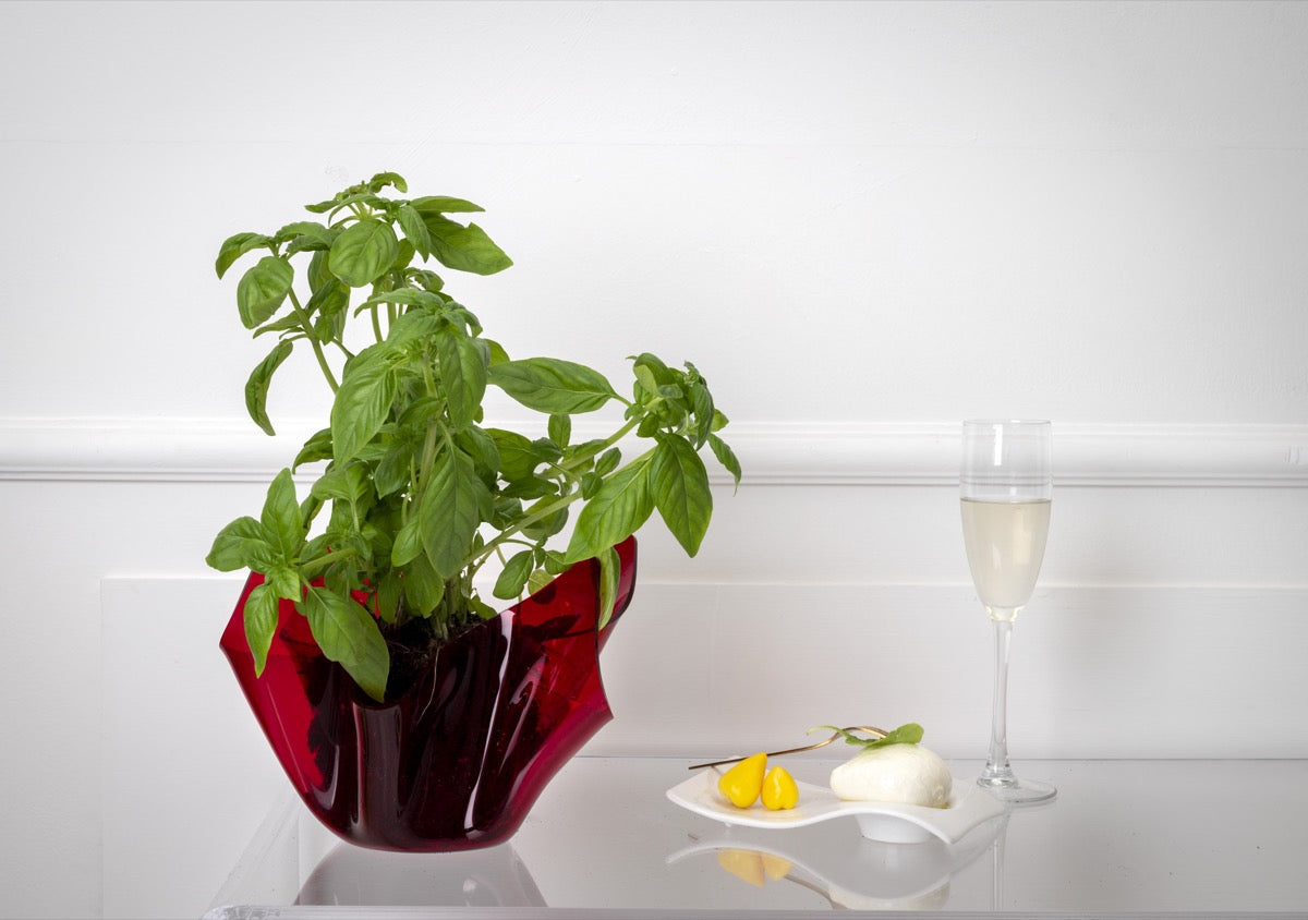 DRAPPEGGI VASO SLIM ROSSO
