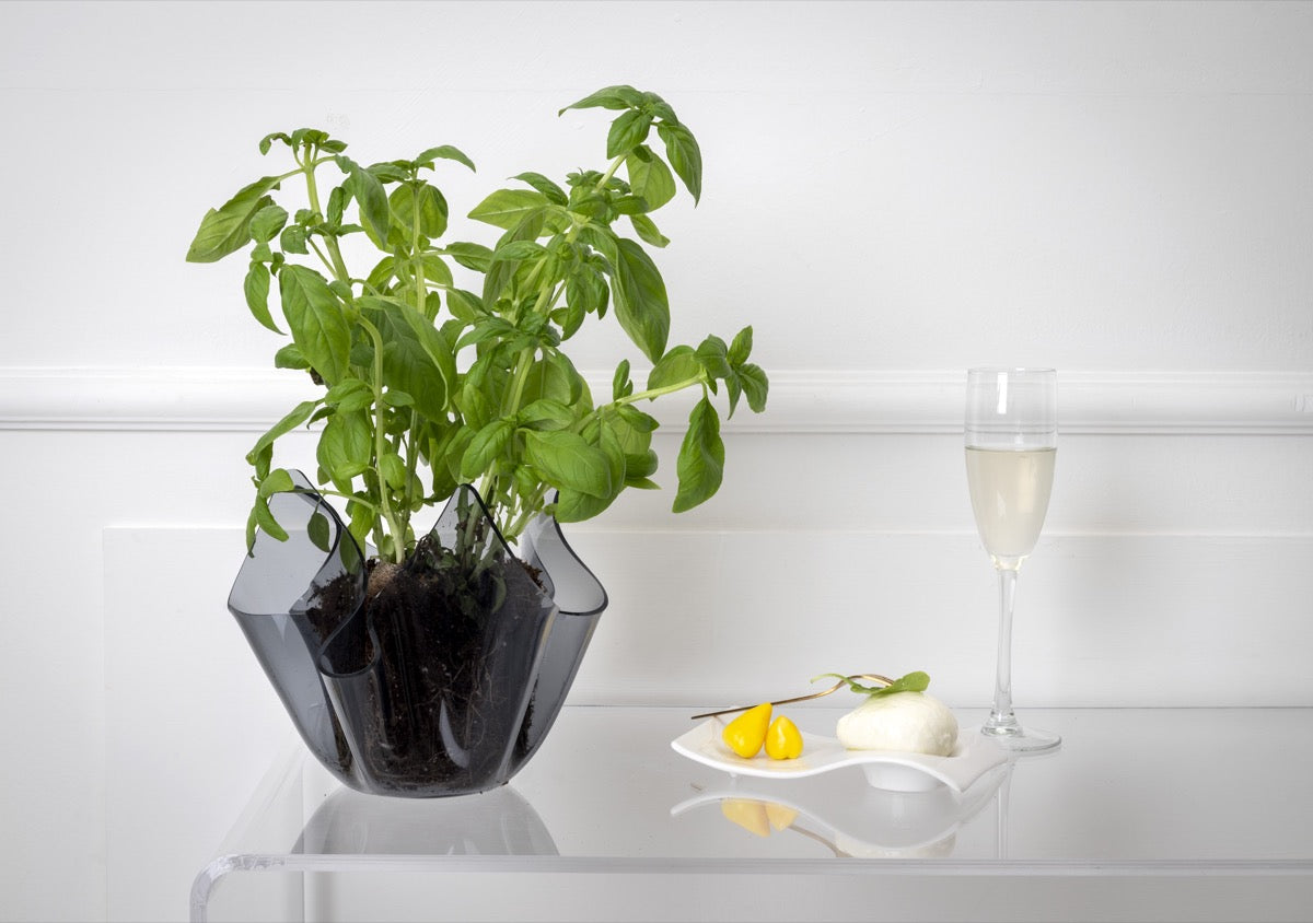 DRAPPEGGI VASO SLIM FUME