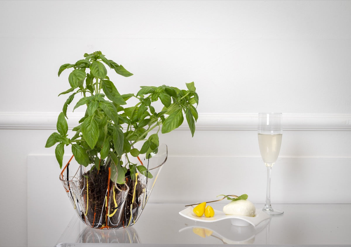 DRAPPEGGI VASO SLIM MULTICOLOR