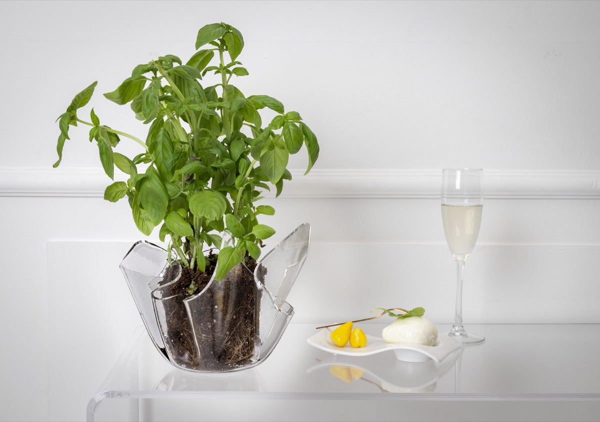 DRAPPEGGI VASO SLIM TRASPARENTE