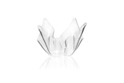 DRAPPEGGI VASO SMALL TRASP.