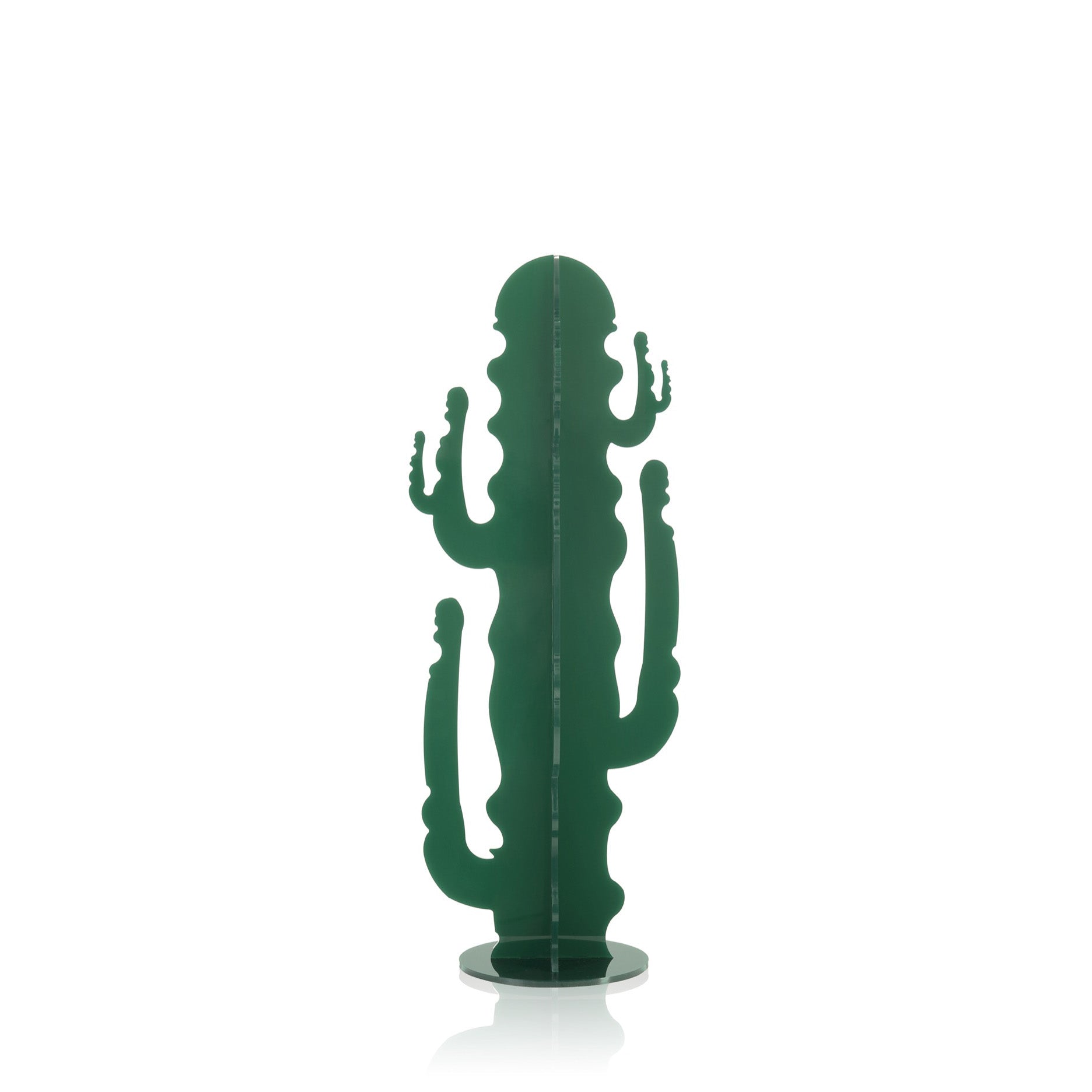 CACTUS MEDIUM VERDE