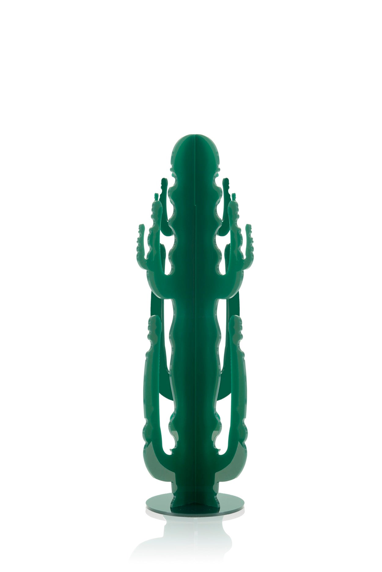 CACTUS MEDIUM VERDE