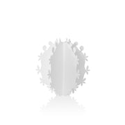 CACTUS PALLA BIANCO