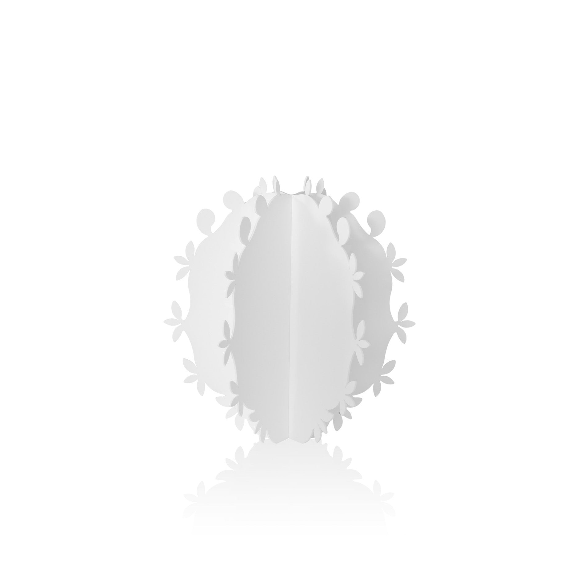 CACTUS PALLA BIANCO