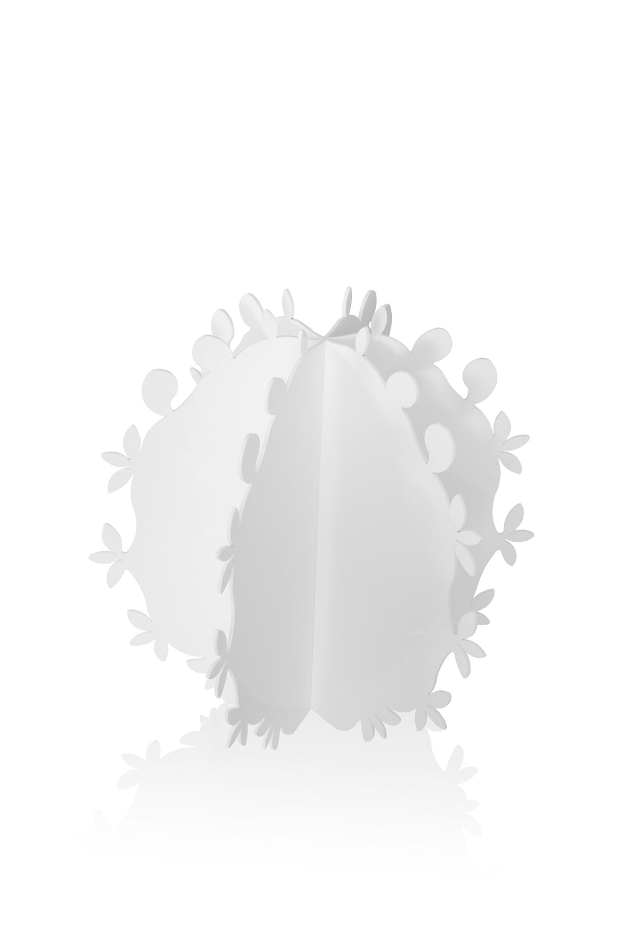 CACTUS PALLA BIANCO