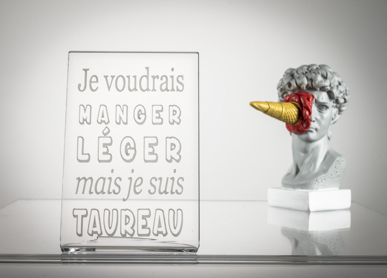 ZODIAC  "TAUREAU"