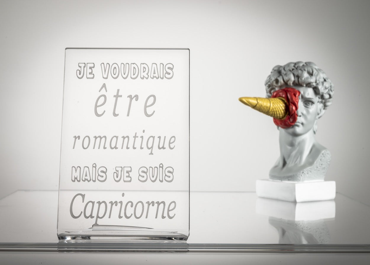 ZODIAC  "CAPRICORNE"