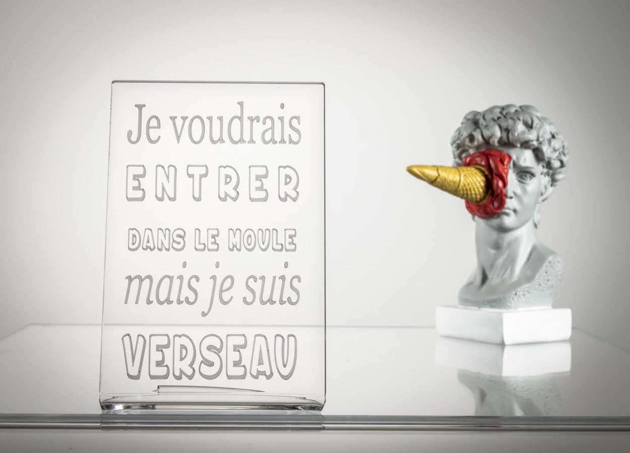 ZODIAC  "VERSEAU"