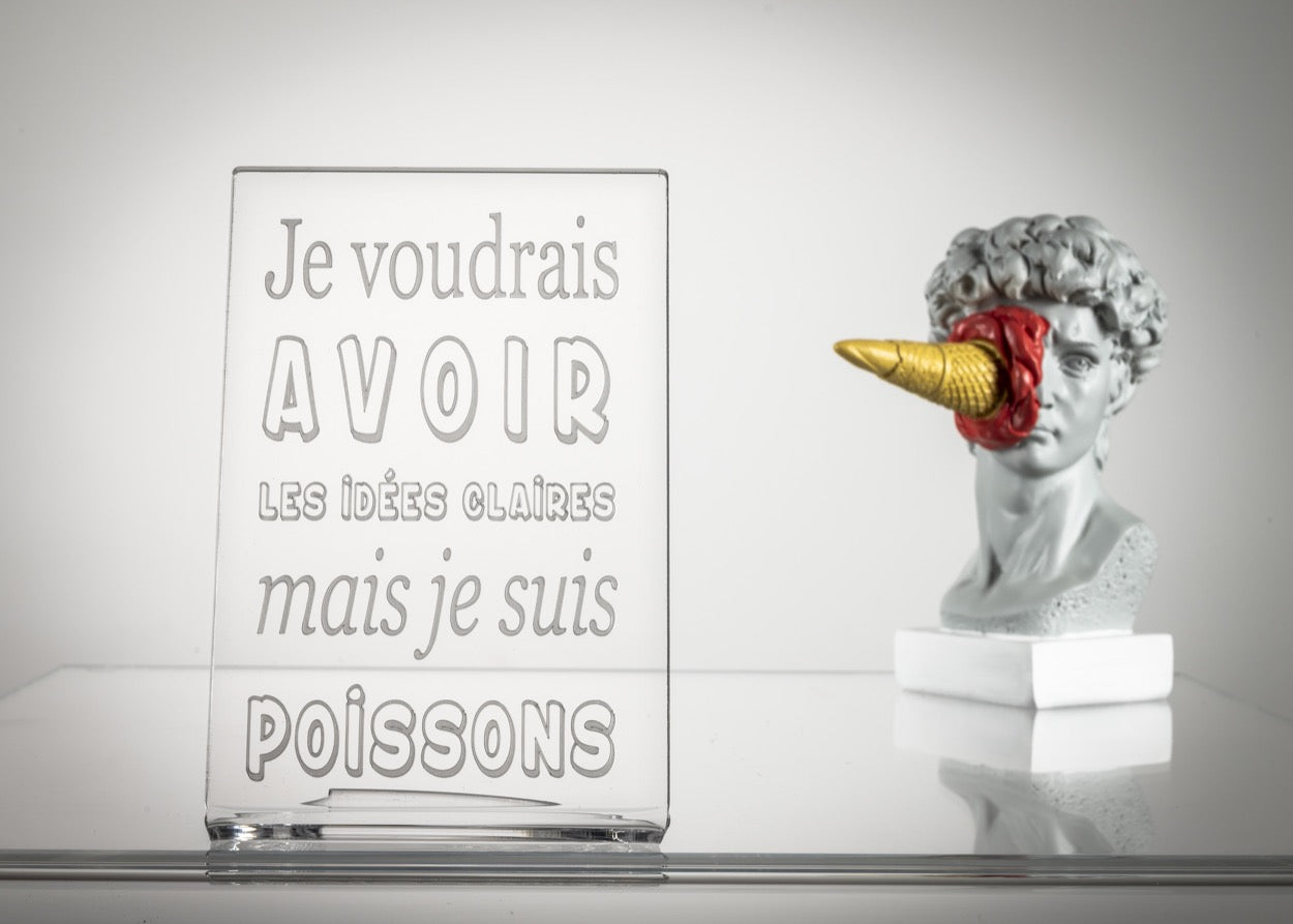 ZODIAC  "POISSONS"