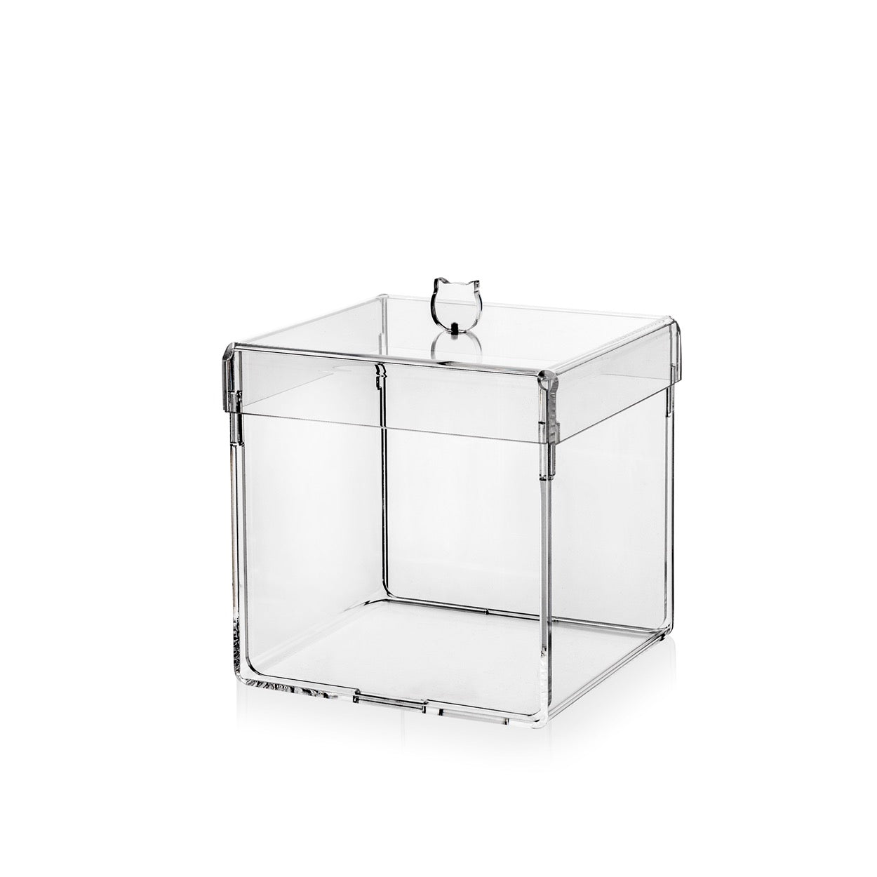 HAKU SMALL TRASPARENTE