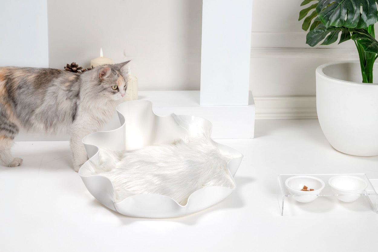 I-PET  CUCCIA  DRAPPEGGI  TONDA  BIANCO