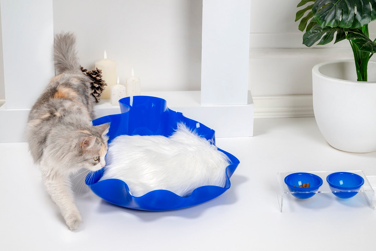 I-PET  CUCCIA  DRAPPEGGI  TONDA  BLU