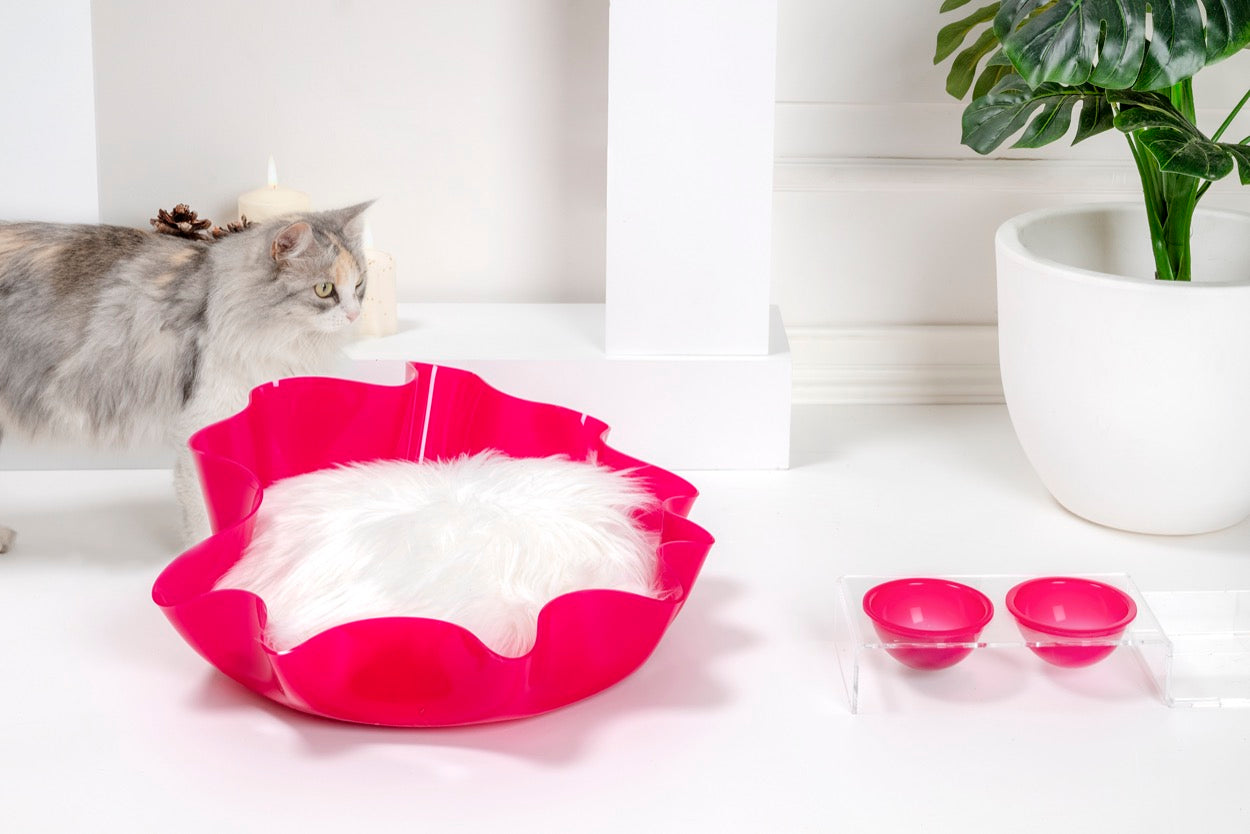 I-PET  CUCCIA  DRAPPEGGI  TONDA  FUXIA