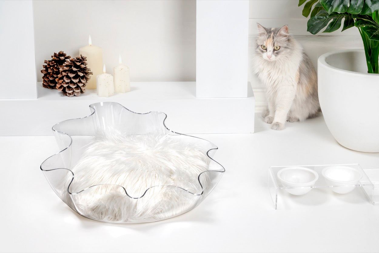 I-PET  CUCCIA  DRAPPEGGI  TONDA  TRASPARENTE
