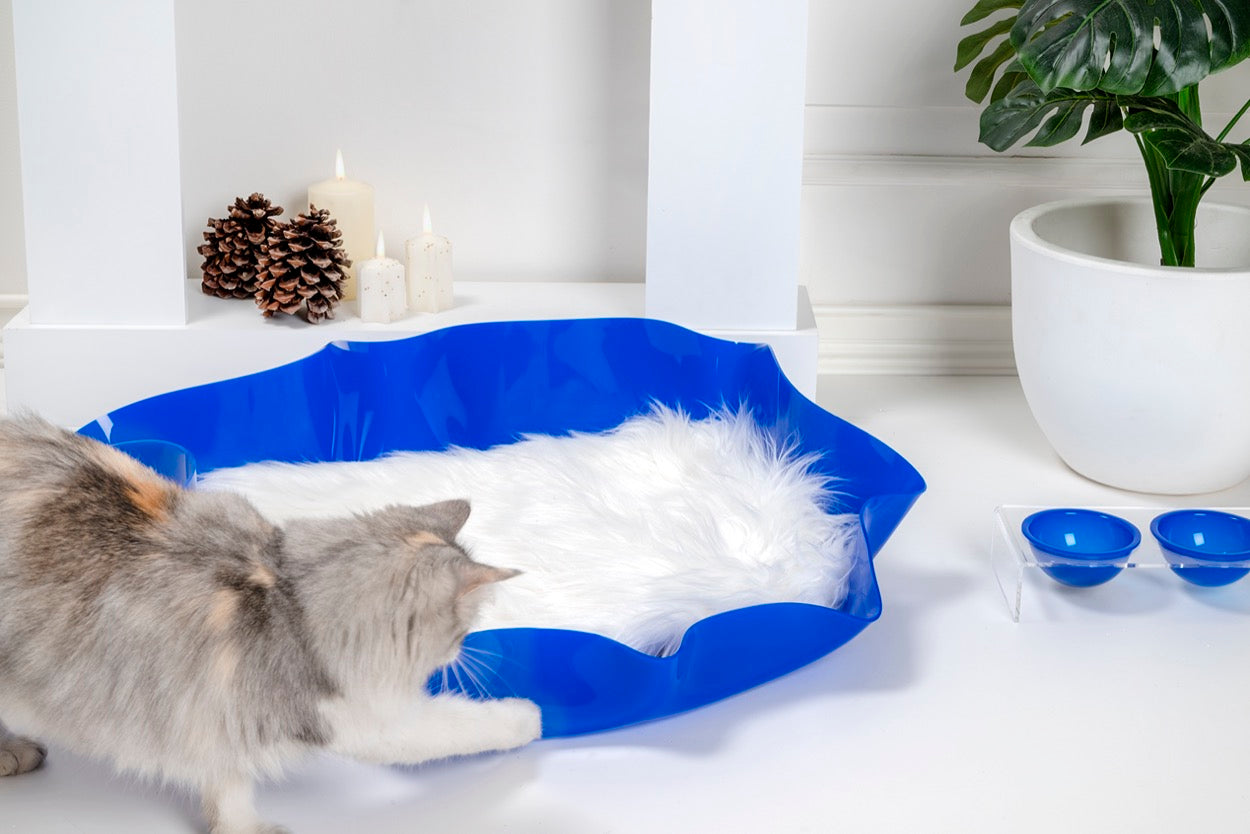 I-PET  CUCCIA  DRAPPEGGI  OVALE  BLU