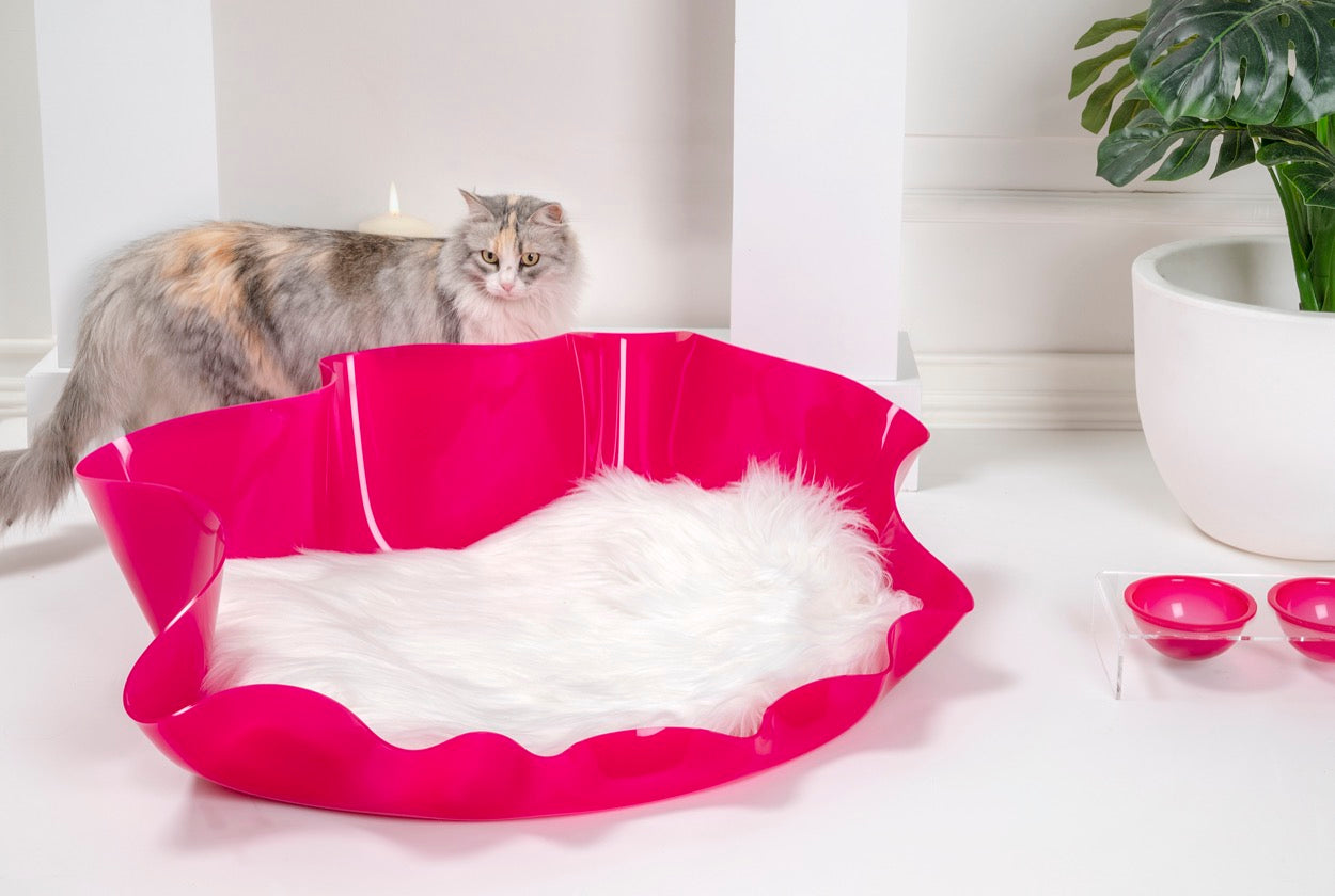 I-PET  CUCCIA  DRAPPEGGI  OVALE  FUXIA