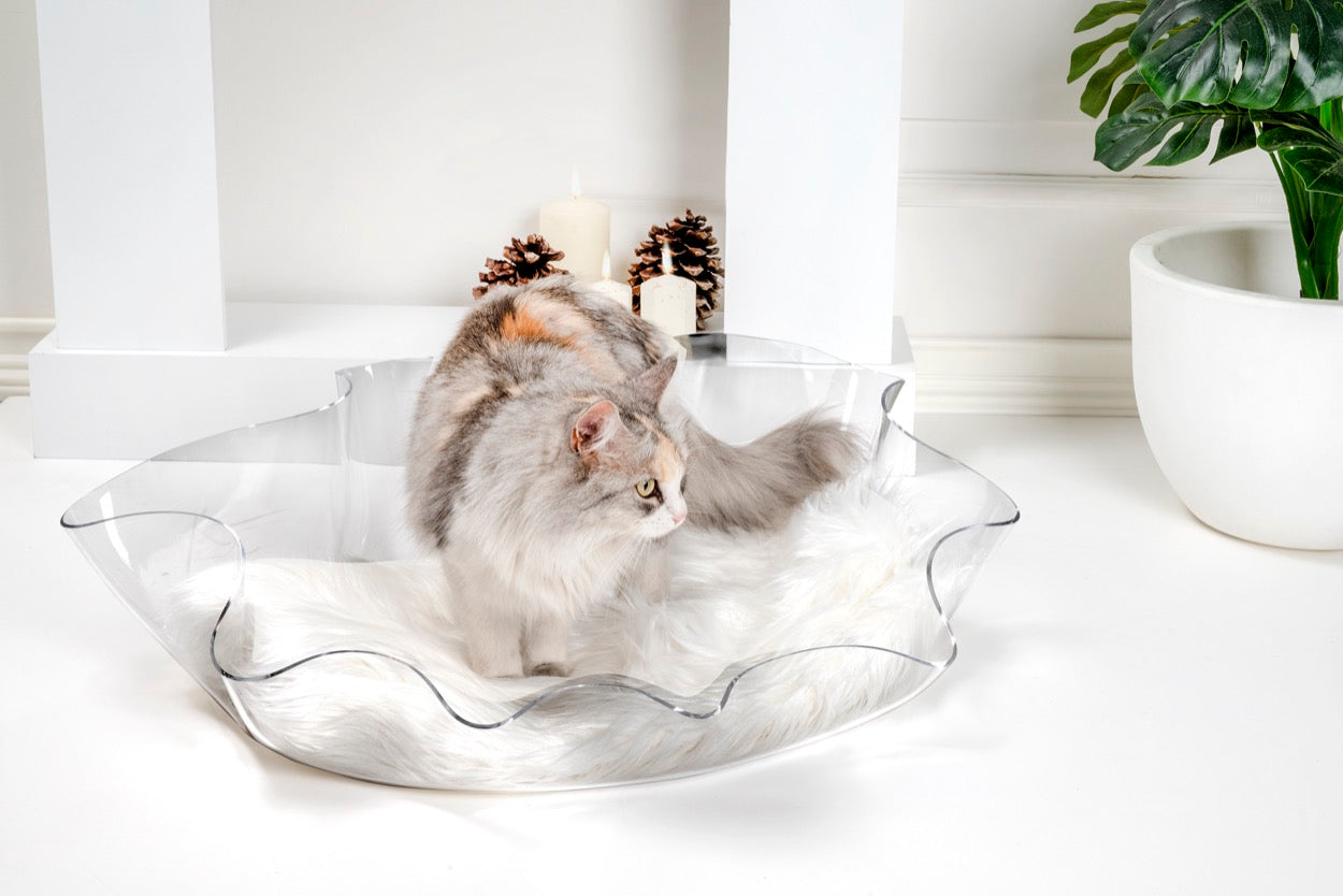 I-PET  CUCCIA  DRAPPEGGI  OVALE  TRASPARENTE