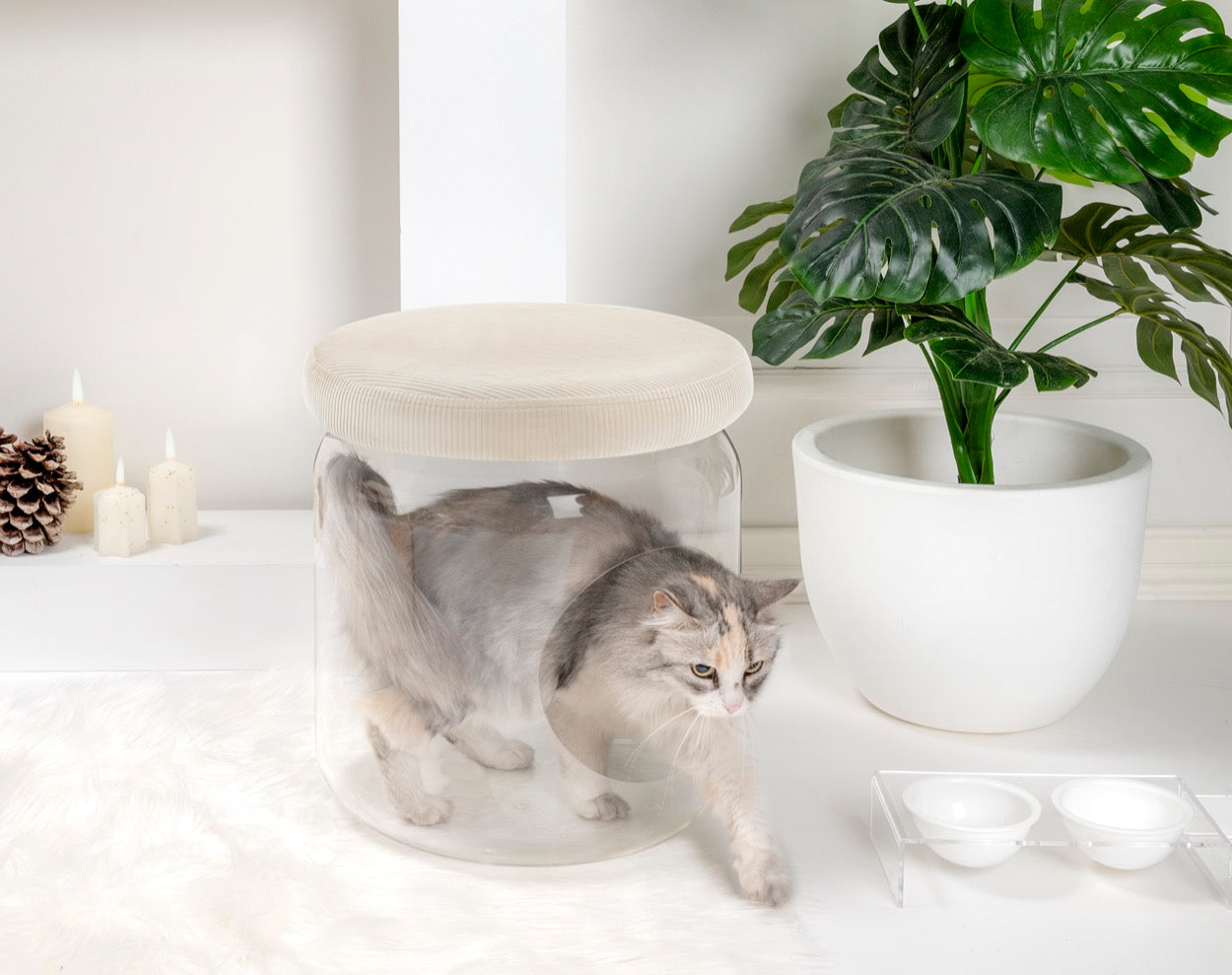 I-PET  CUCCIA  SIT  BEIGE