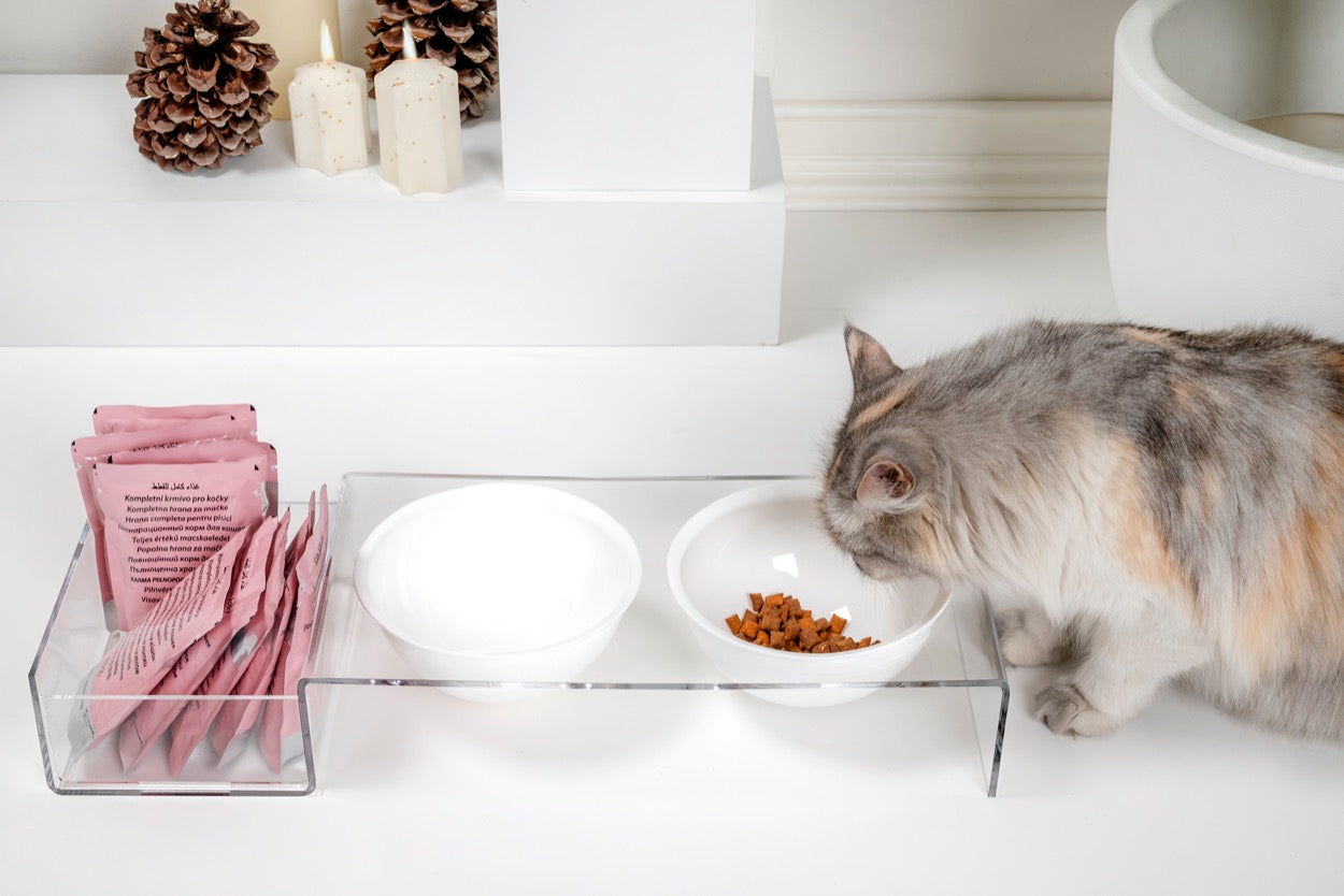 I-PET  PORTA  CIOTOLE  GRANDE  BIANCO