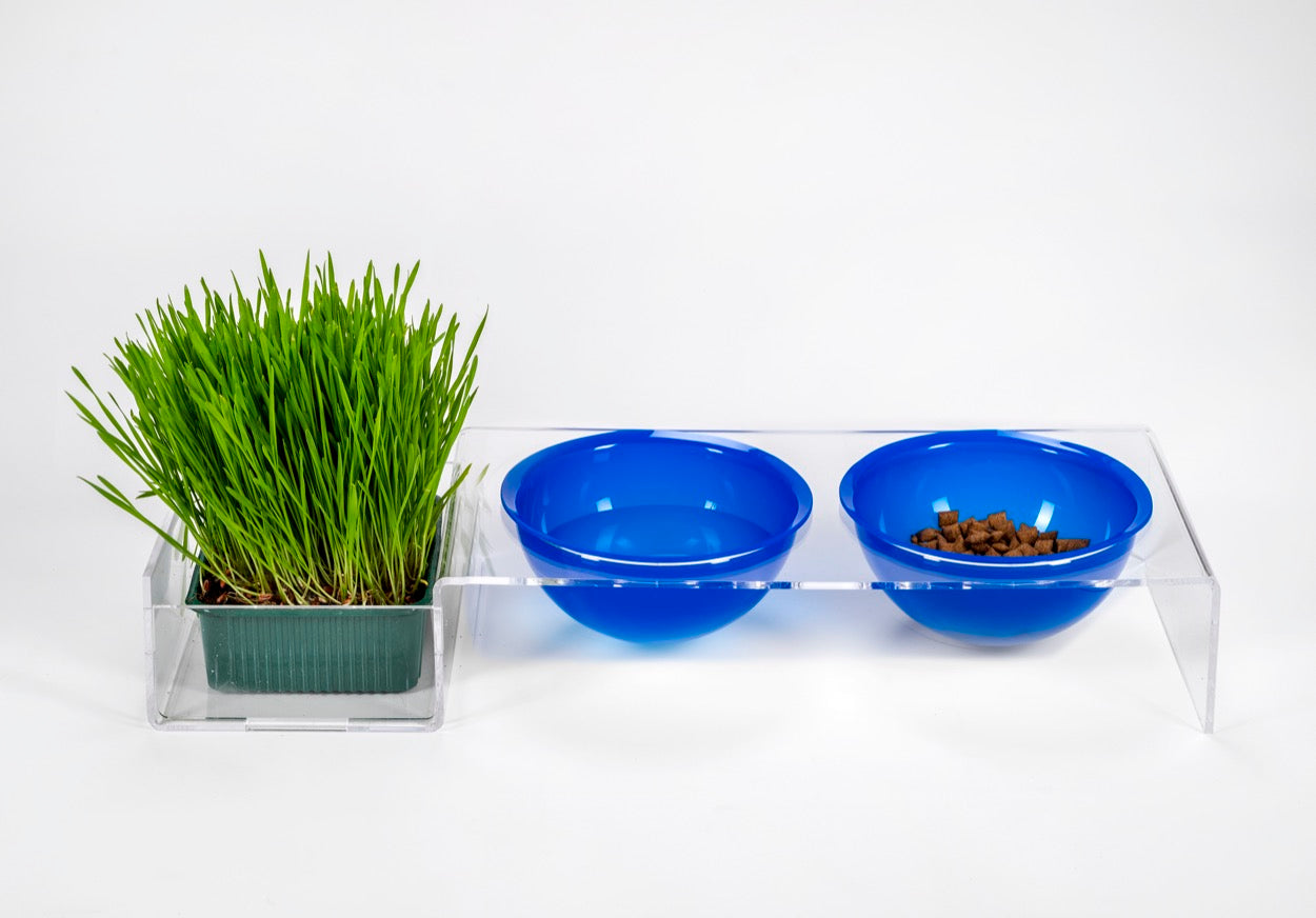 I-PET  PORTA  CIOTOLE  GRANDE  BLU