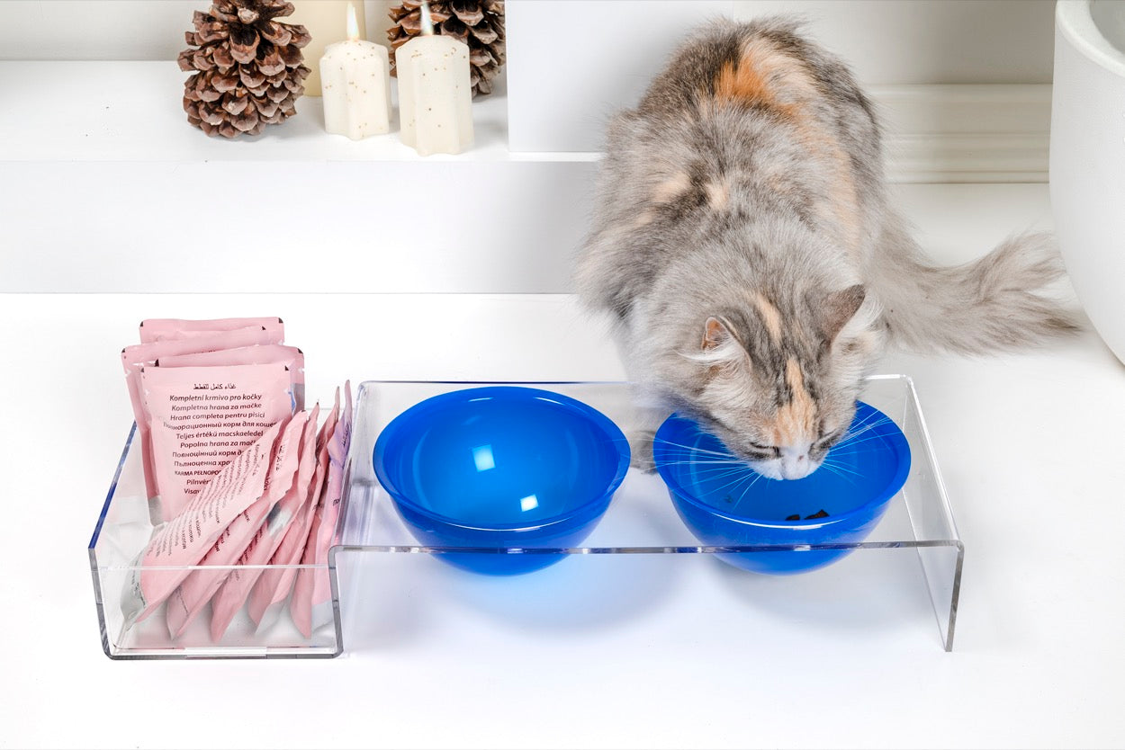 I-PET  PORTA  CIOTOLE  GRANDE  BLU