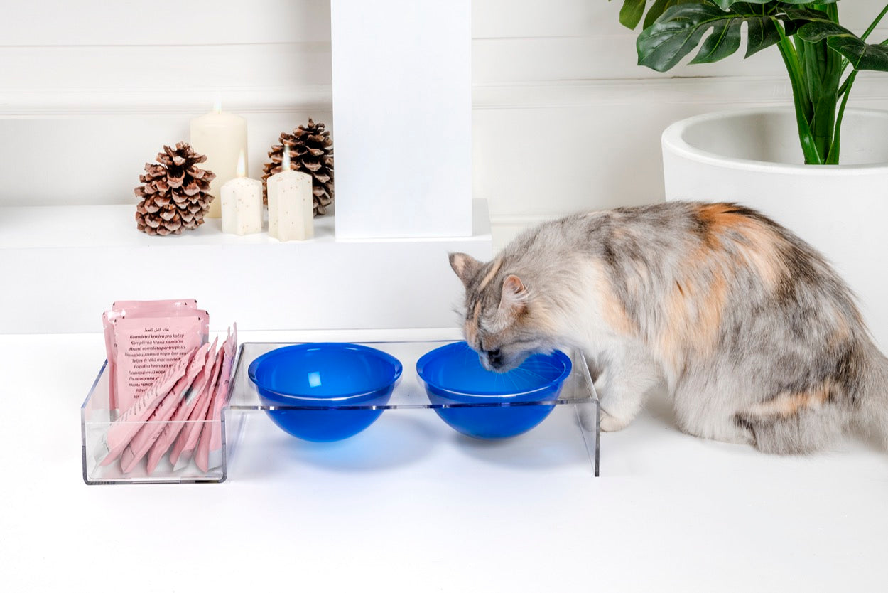 I-PET  PORTA  CIOTOLE  GRANDE  BLU