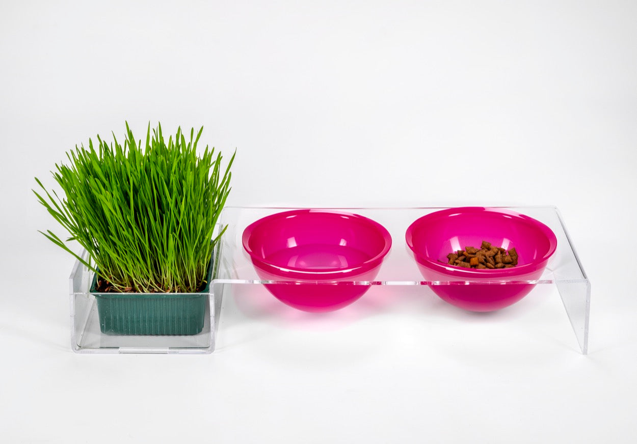 I-PET  PORTA  CIOTOLE  GRANDE  FUXIA