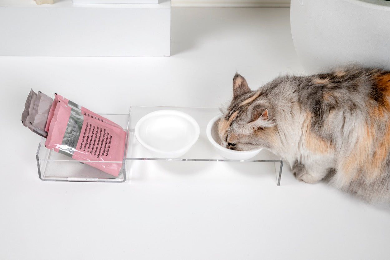 I-PET  PORTA  CIOTOLE  PICCOLO  BIANCO