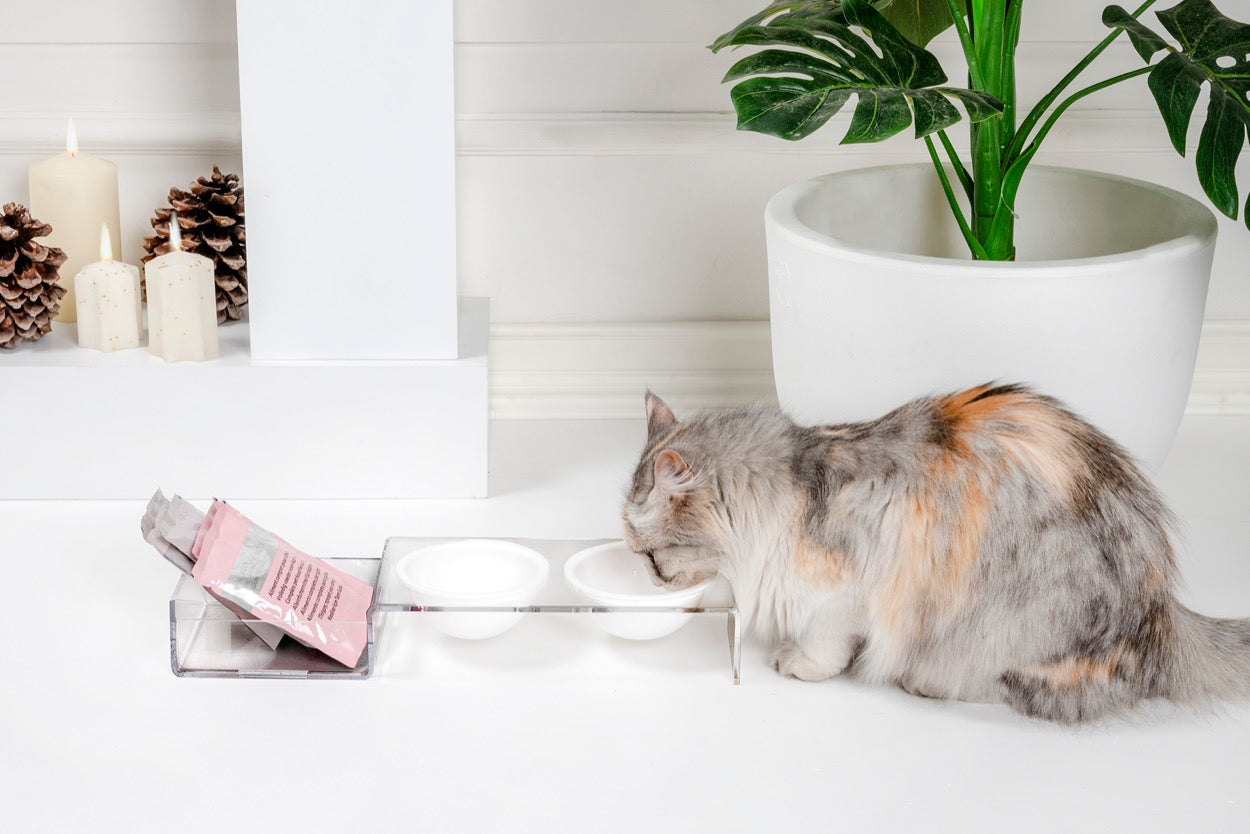 I-PET  PORTA  CIOTOLE  PICCOLO  BIANCO
