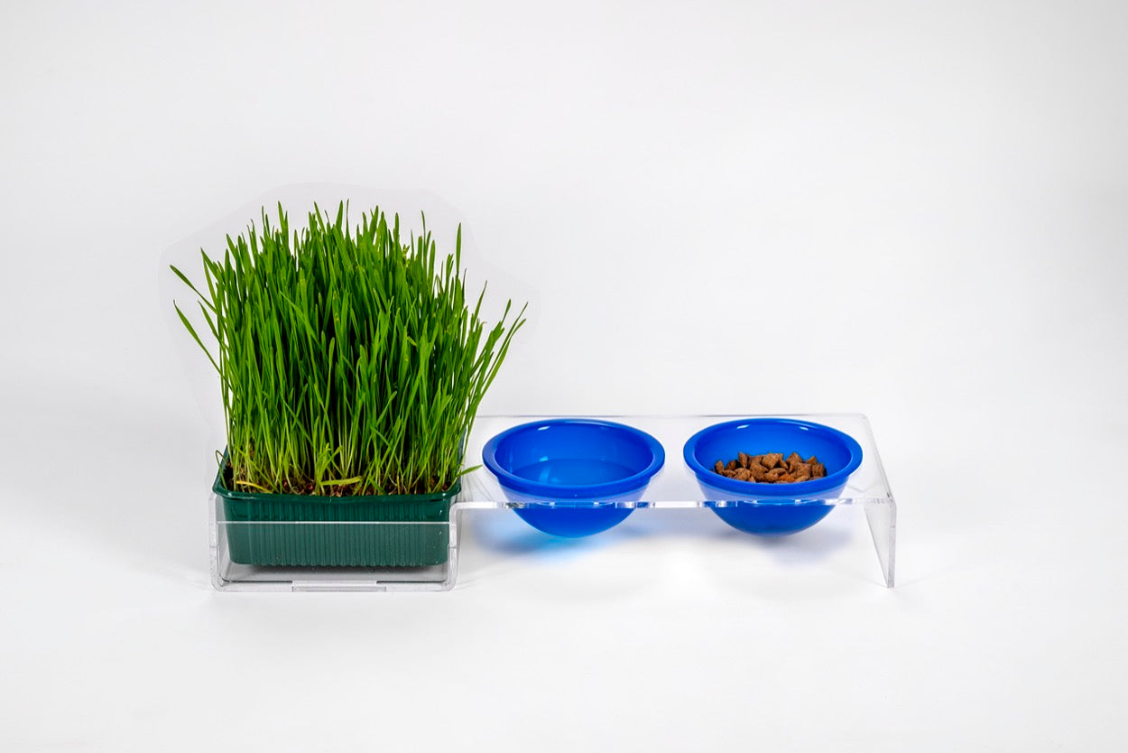 I-PET  PORTA  CIOTOLE  PICCOLO  BLU