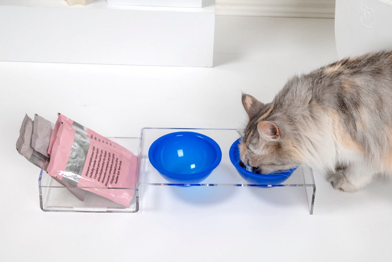 I-PET  PORTA  CIOTOLE  PICCOLO  BLU