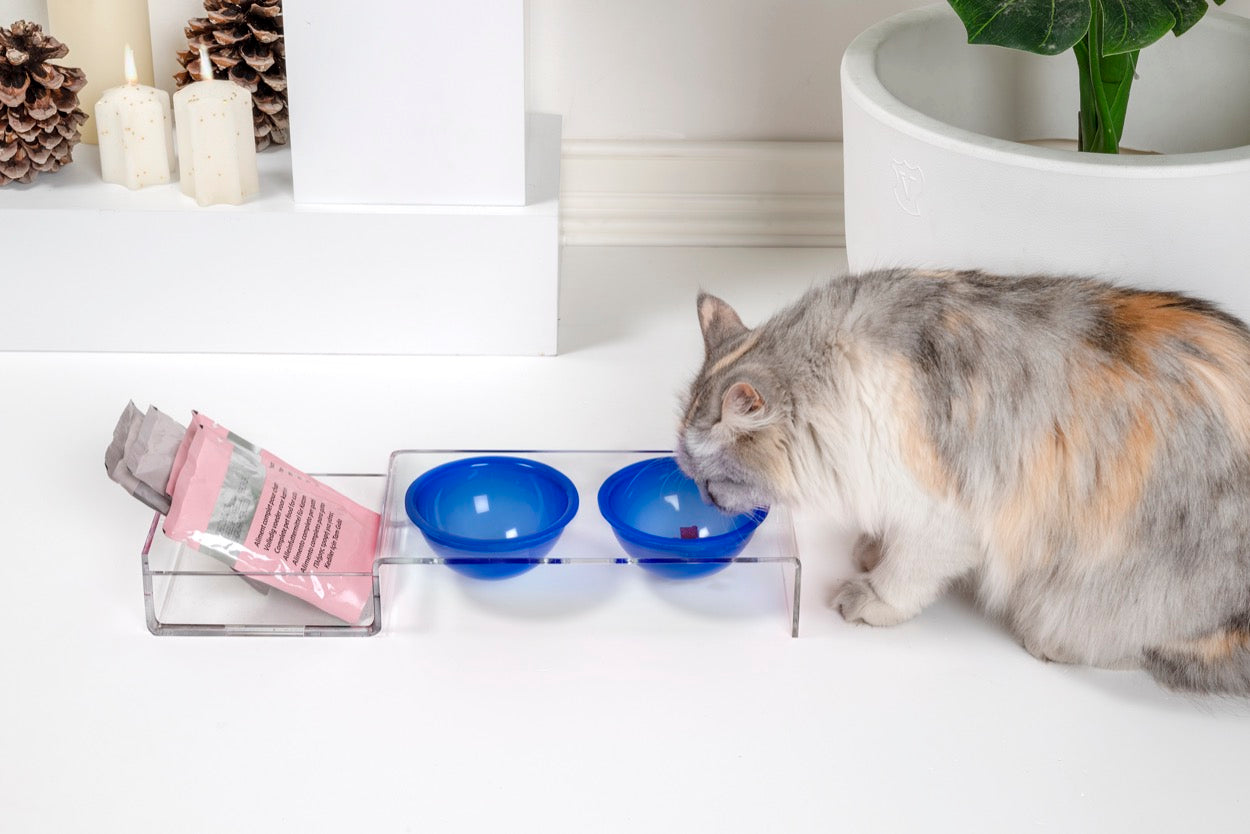 I-PET  PORTA  CIOTOLE  PICCOLO  BLU