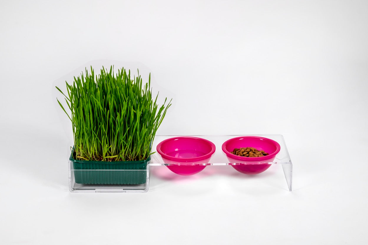 I-PET  PORTA  CIOTOLE  PICCOLO  FUXIA