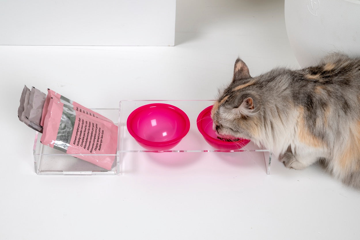 I-PET  PORTA  CIOTOLE  PICCOLO  FUXIA