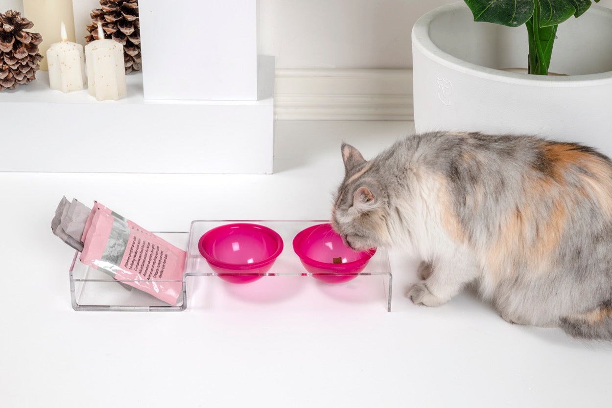 I-PET  PORTA  CIOTOLE  PICCOLO  FUXIA