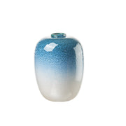 VASO LVIV BASSO