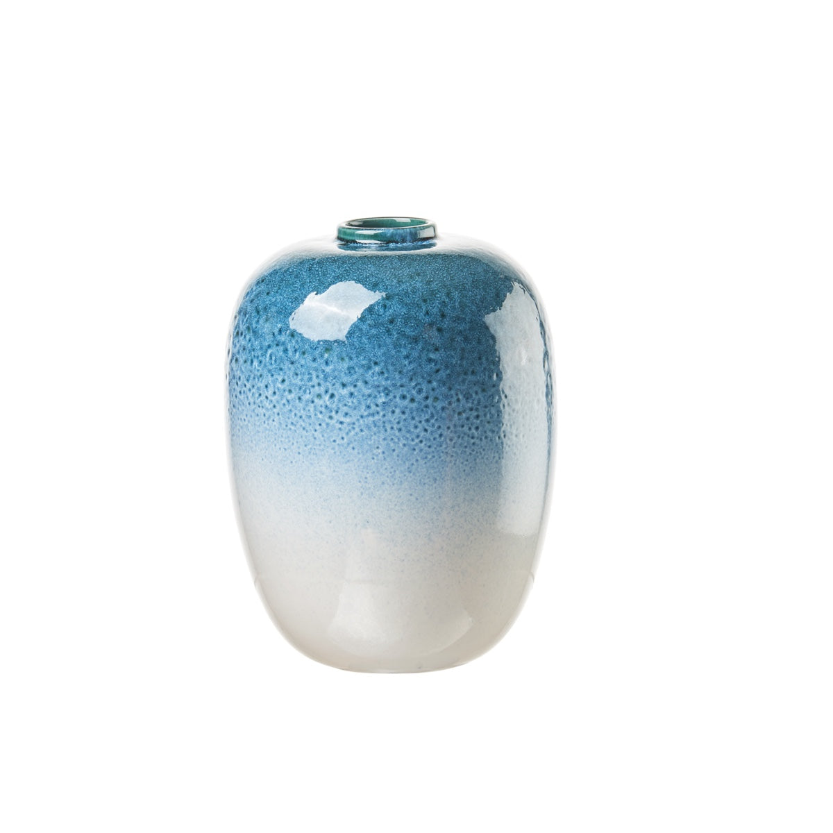 VASO LVIV BASSO